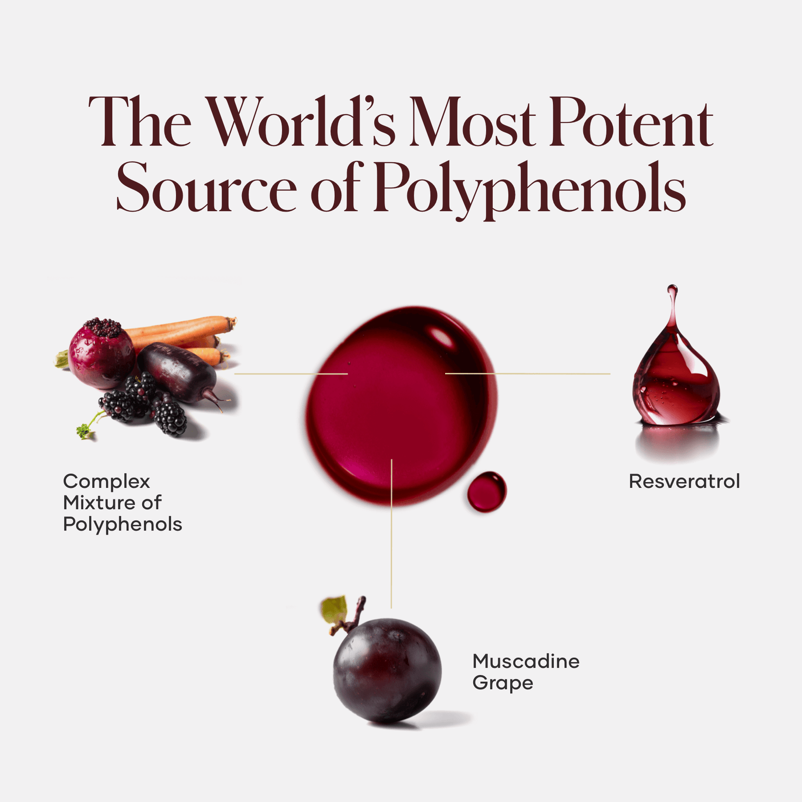 shaklee vivix - Shaklee Products Australia shaklee vivix