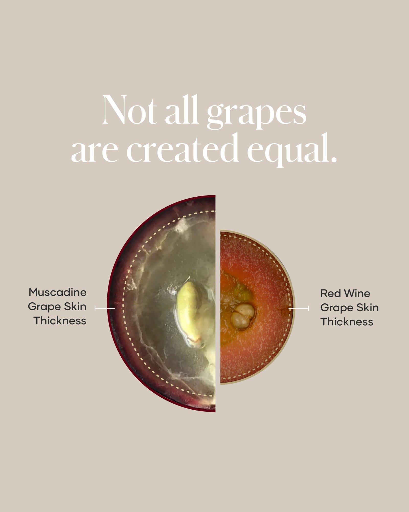 shaklee vivix - Shaklee Products Australia shaklee vivix